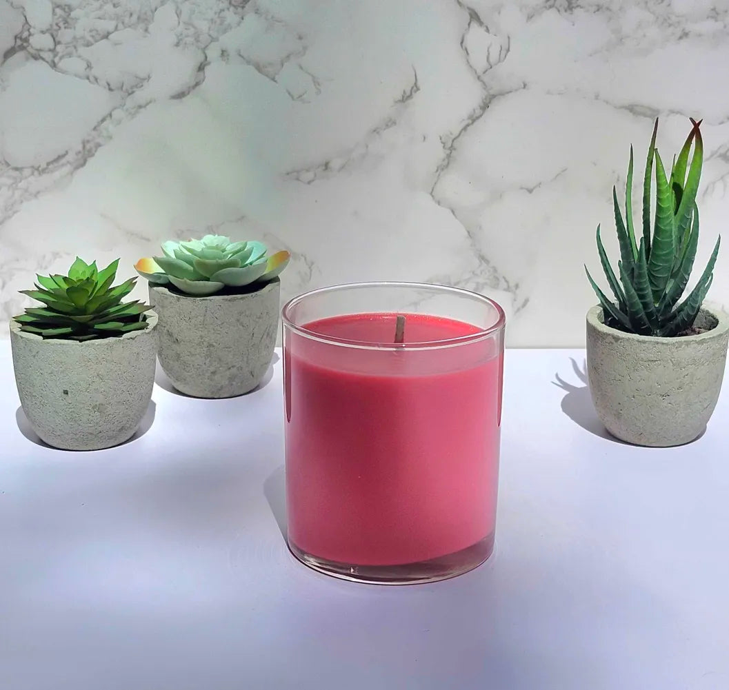Sunday Cartoons | 10oz Natural Coconut-Apricot Wax Candle