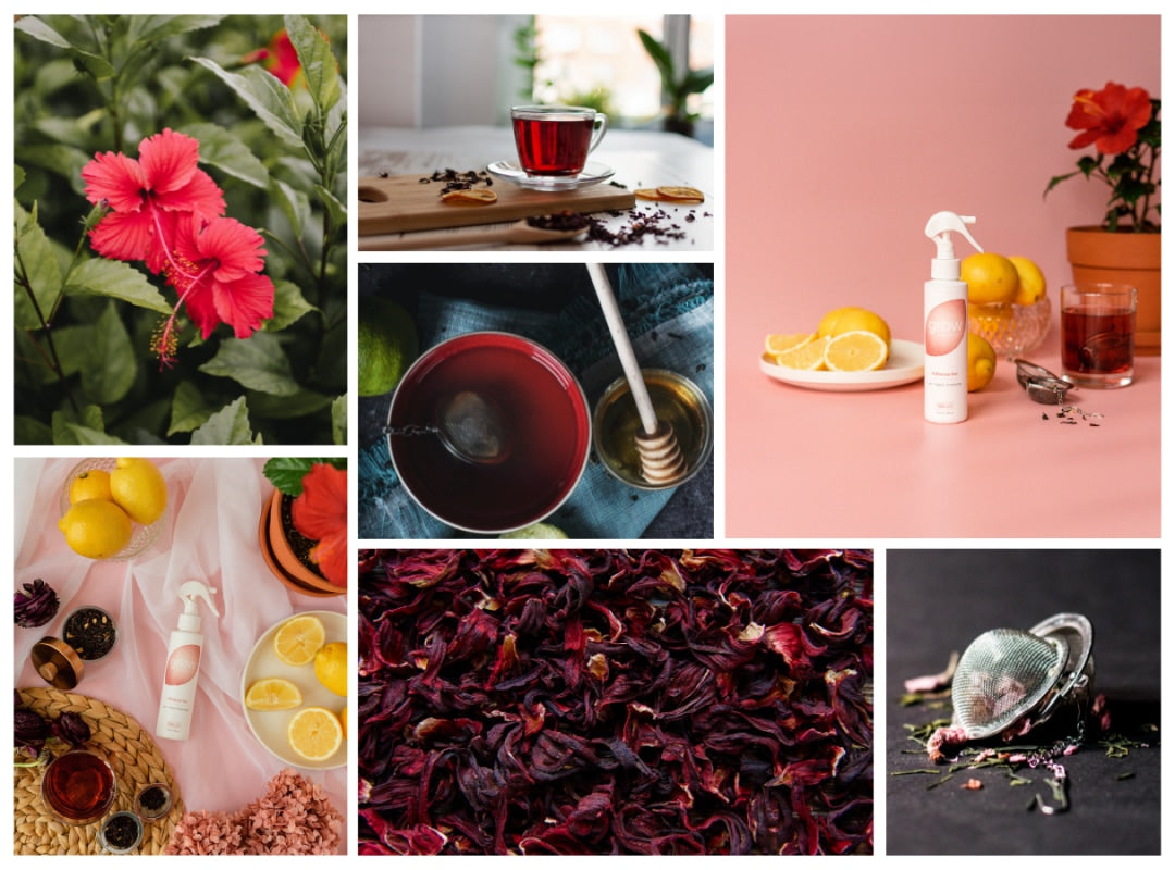 Hibiscus Tea Air + Fabric Spray